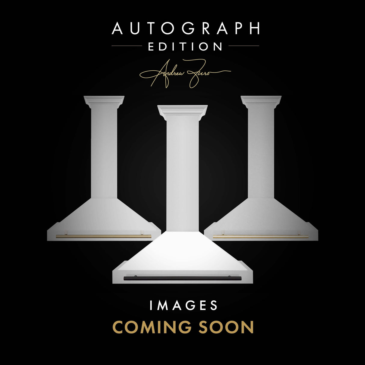 ZLINE 30 in. Autograph Edition Fingerprint Resistant Stainless Steel Range Hood and Accents (KB4SNZ-30)