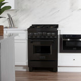 ZLINE 24 in. 2.8 cu. ft. Range with Gas Stove and Gas Oven in Black Stainless Steel with Brass Burners (RGB-24)