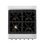 ZLINE 24 in. 2.8 cu. ft. Dual Fuel Range with Gas Stove and Electric Oven in Stainless Steel with Brass Burners (RA-BR-24)