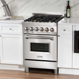 ZLINE 24 in. 2.8 cu. ft. Dual Fuel Range with Gas Stove and Electric Oven in Stainless Steel with Brass Burners (RA-BR-24)