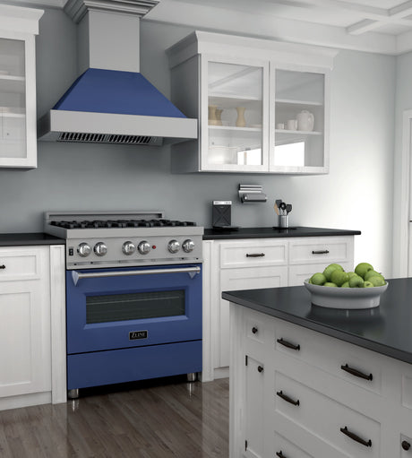 ZLINE 30 in. 4.0 cu. ft. Dual Fuel Range with Gas Stove and Electric Oven in All Fingerprint Resistant Stainless Steel with Blue Matte Door (RAS-BM-30)