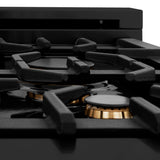 ZLINE 30 in. Porcelain Rangetop in Black Stainless with Brass Burners (RTB-BR-30)