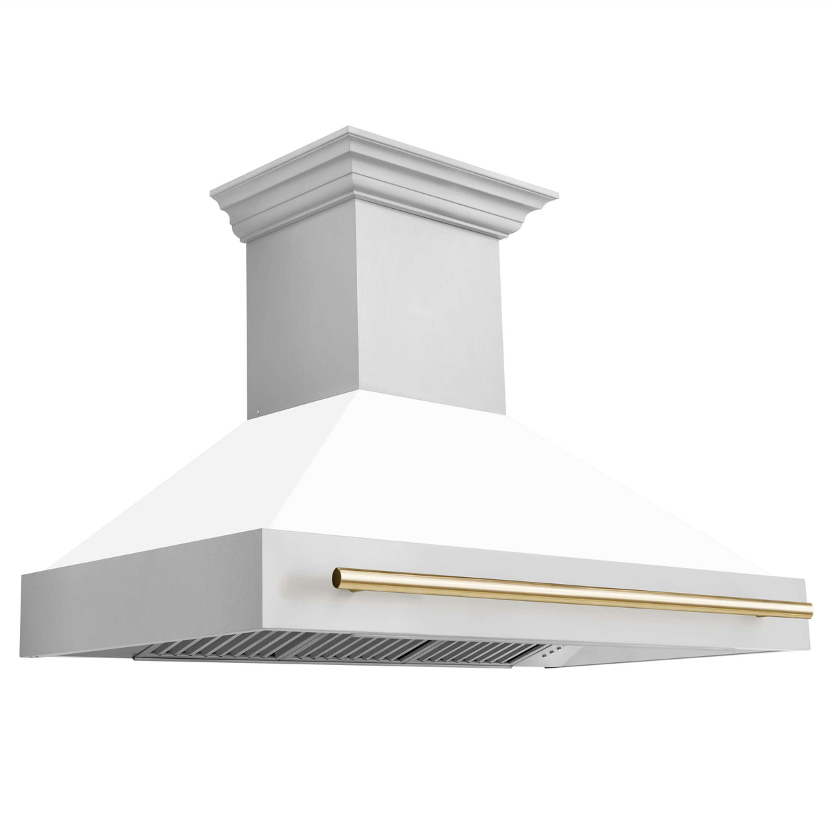 ZLINE 48 in. Autograph Edition Kitchen Package with Stainless Steel Dual Fuel Range with White Matte Door, Range Hood and Dishwasher with Polished Gold Accents (3AKP-RAWMRHDWM48-G)