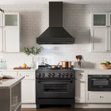 ZLINE Black Stainless Steel Range Hood with Black Stainless Steel Handle and Size Options (BS655-BS)