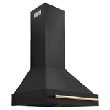 ZLINE Autograph Edition 30 in. Kitchen Package with Black Stainless Steel Dual Fuel Range, Range Hood and Dishwasher with Polished Gold Accents (3AKP-RABRHDWV30-G)