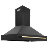 ZLINE 48 in. Autograph Edition Kitchen Package with Black Stainless Steel Dual Fuel Range, Range Hood, Dishwasher and Refrigeration Including External Water Dispenser with Polished Gold Accents (4AKPR-RABRHDWV48-G)