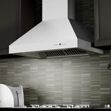 ZLINE Outdoor Wall Mount Range Hood in Outdoor Approved Stainless Steel (667-304)