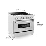 ZLINE 36 in. Kitchen Package with Fingerprint Resistant Stainless Dual Fuel Range, Ducted Vent Range Hood and Tall Tub Dishwasher (3KP-RASRH36-DWV)