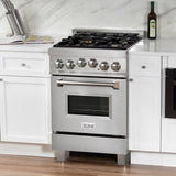 ZLINE 24 in. 2.8 cu. ft. Range with Gas Stove and Gas Oven in Fingerprint Resistant Stainless Steel with Brass Burners (RGS-SN-BR-24)